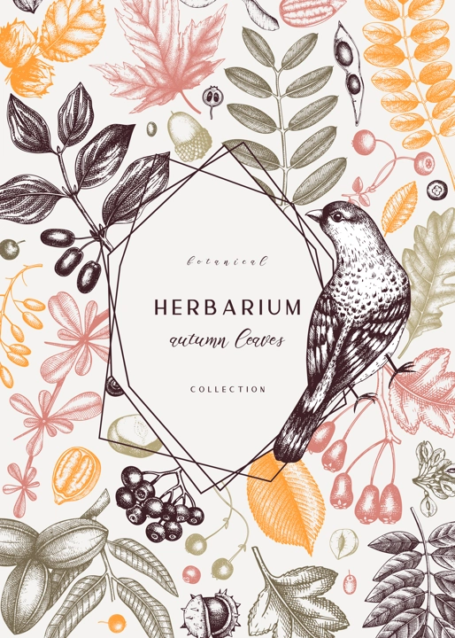 Hand sketched autumn card design in color. Elegant botanical template with autumn leaves, berries, seeds and bird sketches. Perfect for invitation, cards, flyers, menu, label, packaging.